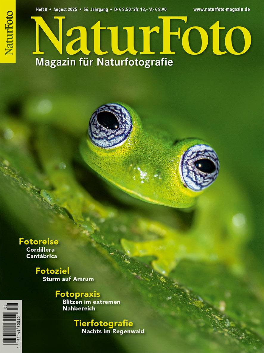 NaturFoto 8/2025