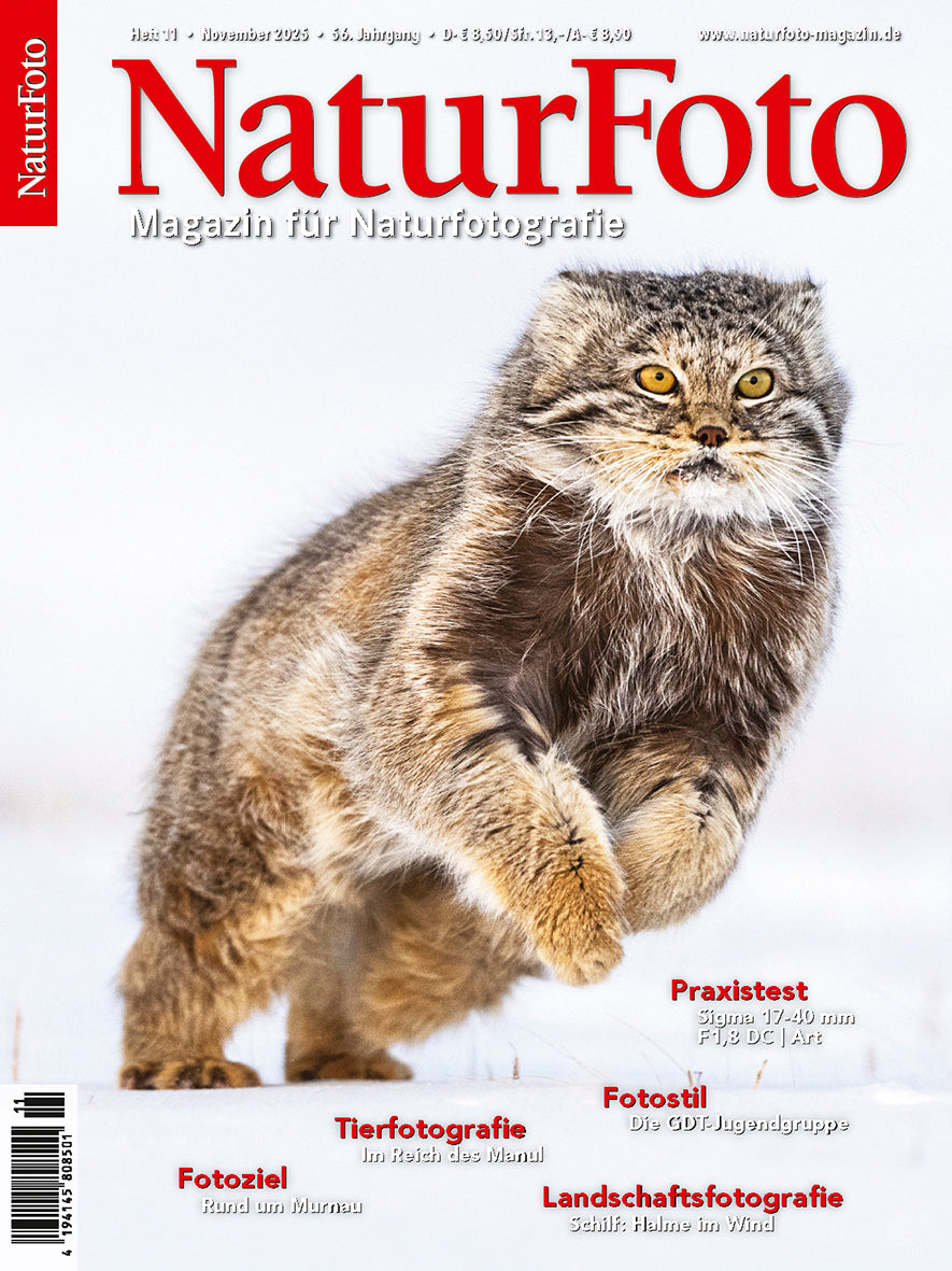 NaturFoto 11/2025