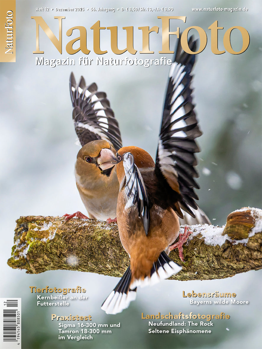 NaturFoto 12/2025