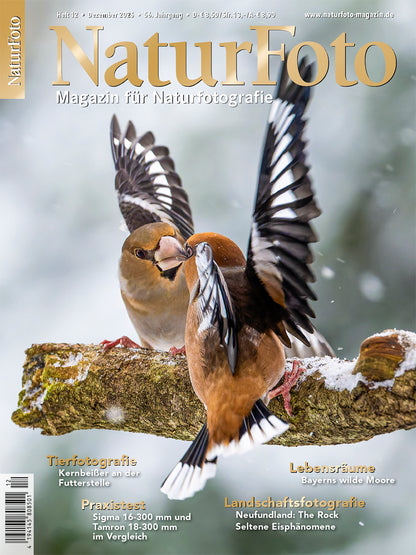 NaturFoto 12/2025
