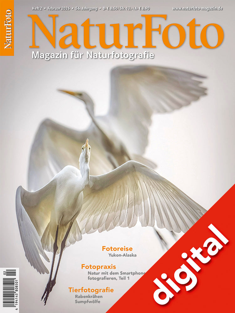NaturFoto 2/2026 Digital