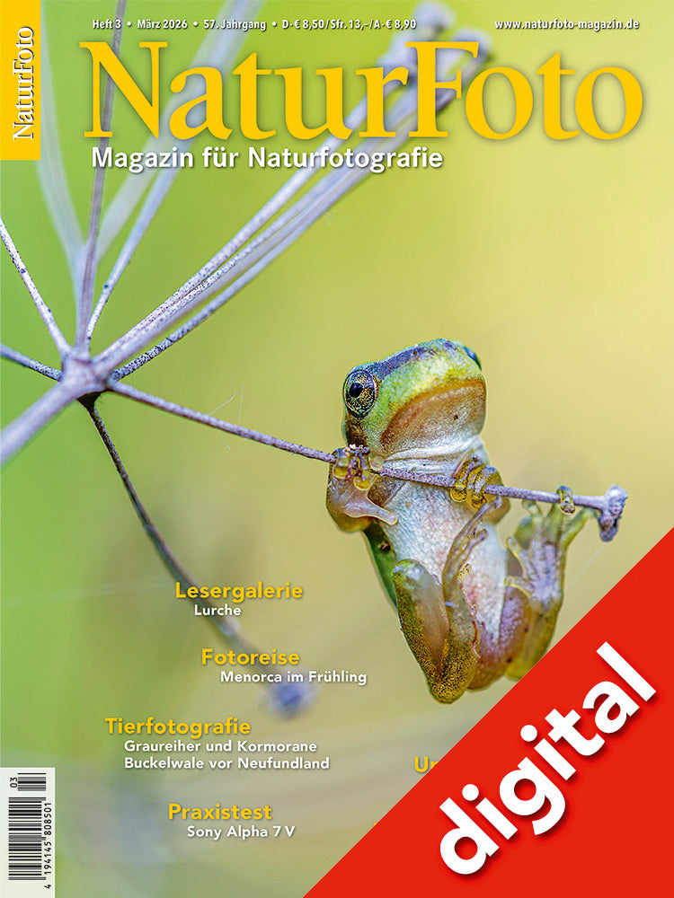 NaturFoto 3/2026 Digital