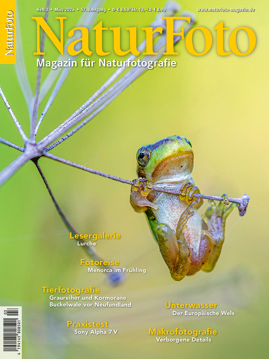 NaturFoto 3/2026