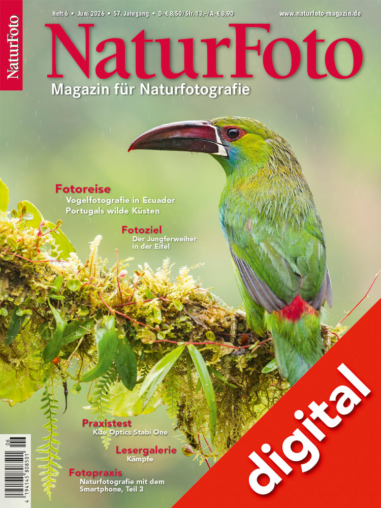 NaturFoto 6/2026