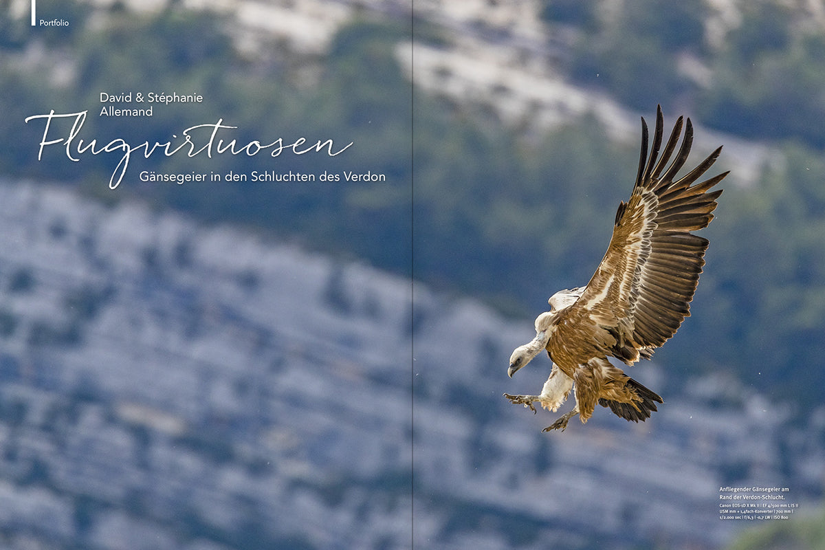 NaturFoto 7/2021 - Bild 5