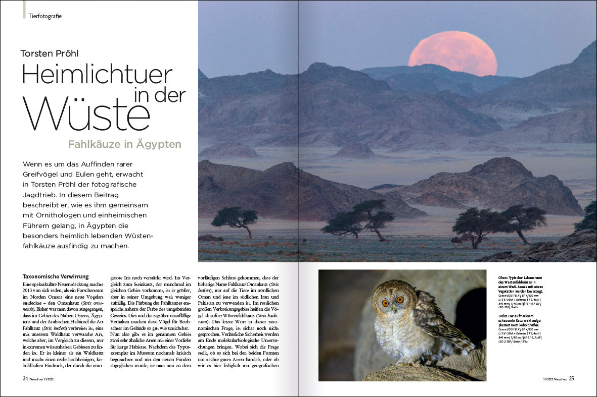 NaturFoto 11/2022 - Bild 7