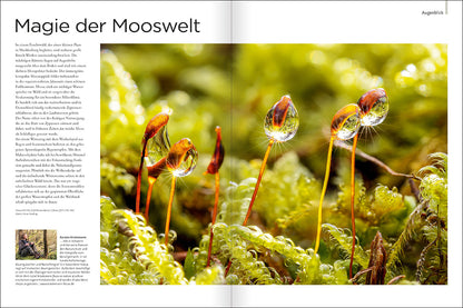 NaturFoto 5/2023 - Bild 5