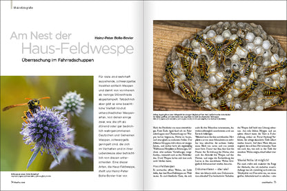 NaturFoto 5/2023 - Bild 3