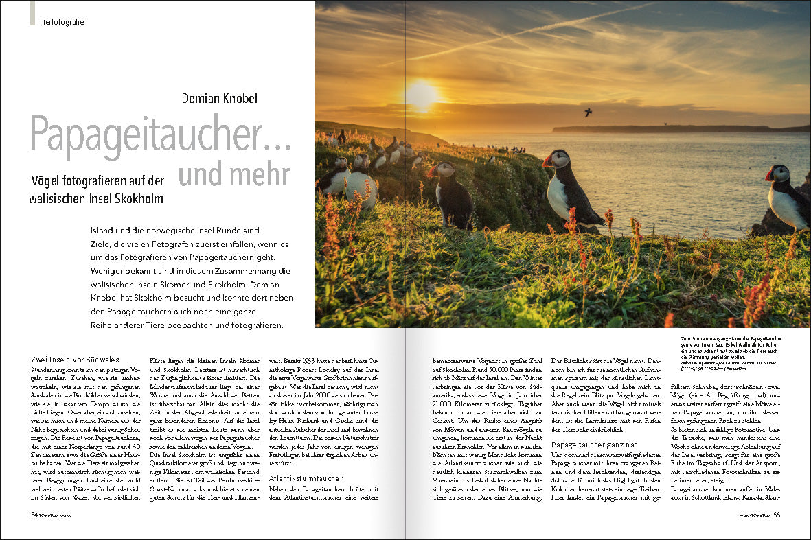 NaturFoto 5/2023 - Bild 6