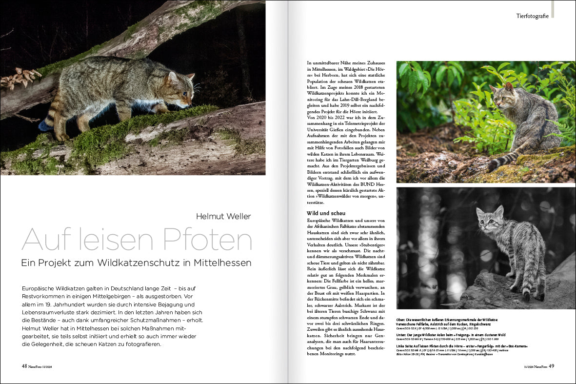 NaturFoto 11/2024 - Bild 7