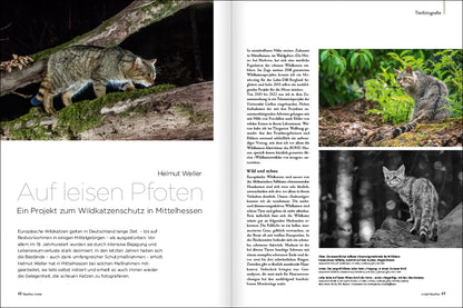 NaturFoto 11/2024 - Bild 7