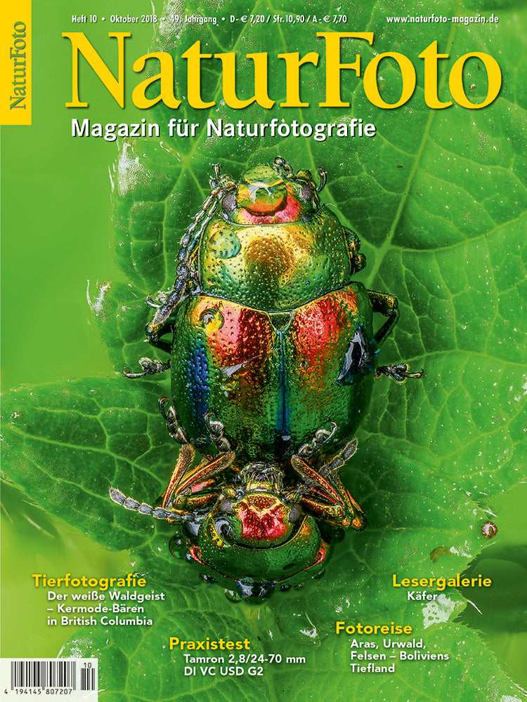 NaturFoto 10/2018