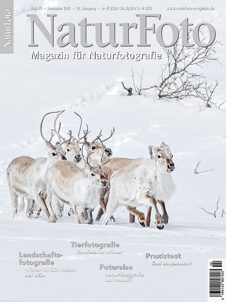 NaturFoto 12/2018