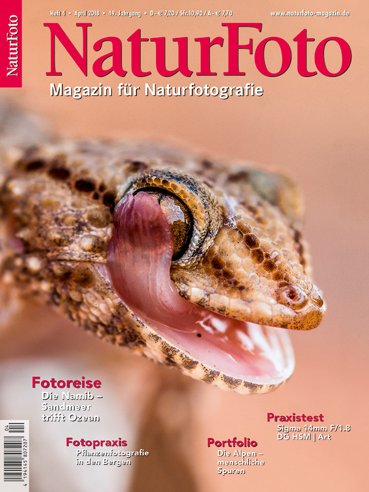 NaturFoto 4/2018
