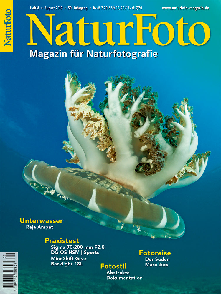 NaturFoto 8/2019