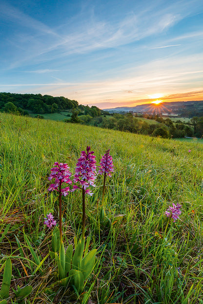 NaturFoto 10/2019 - Bild 5