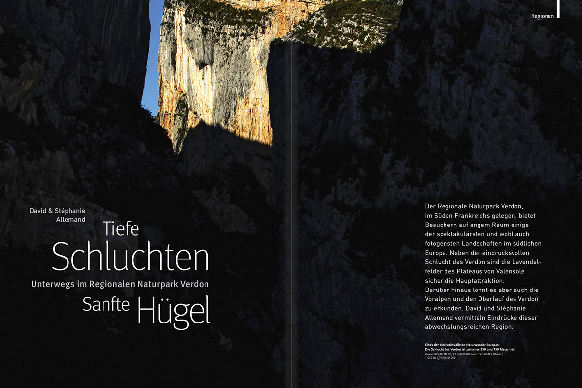NaturFoto 10/2020 - Bild 2