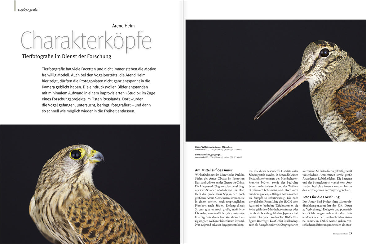 NaturFoto 10/2020 - Bild 6
