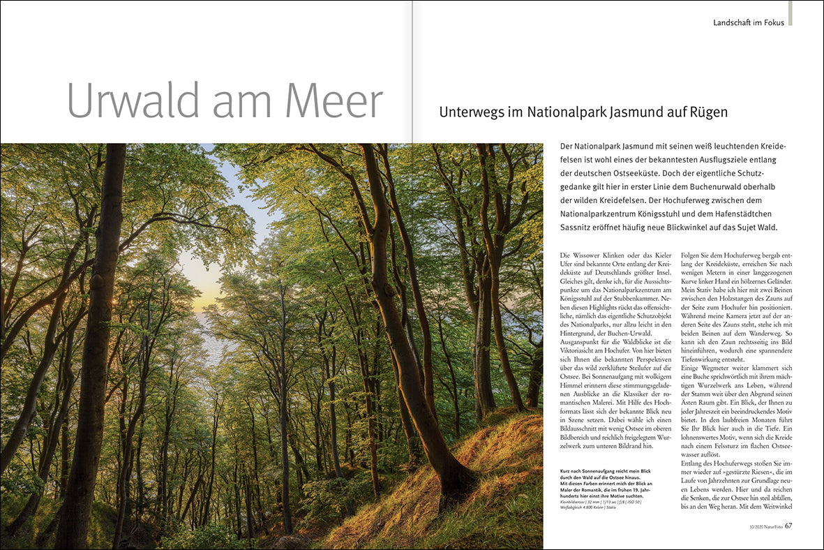 NaturFoto 10/2020 - Bild 7