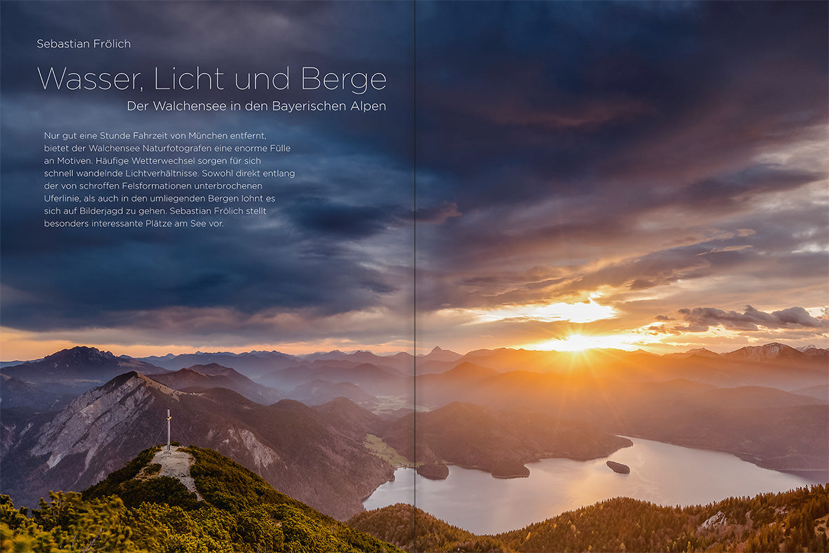 NaturFoto 11/2020 - Bild 5