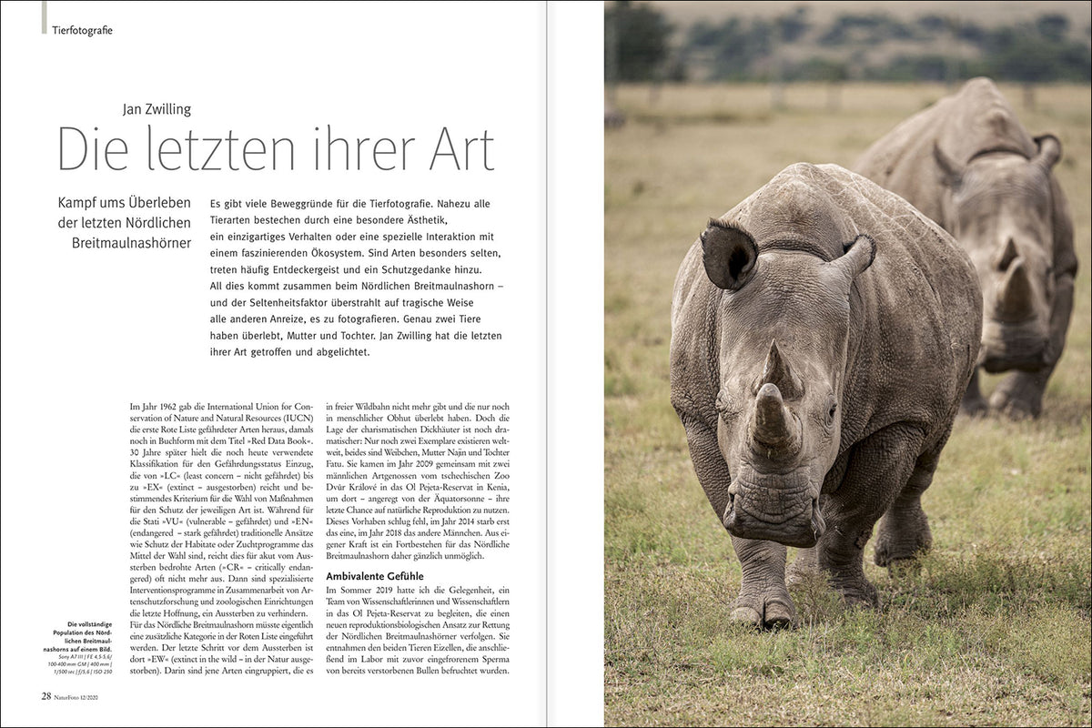 NaturFoto 12/2020 - Bild 3