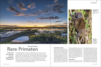 NaturFoto 12/2020 - Bild 7