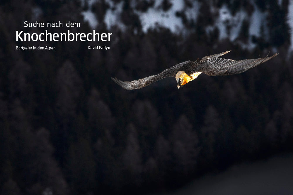 NaturFoto 1/2020 - Bild 6