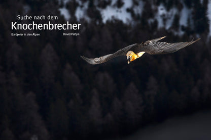 NaturFoto 1/2020 - Bild 6