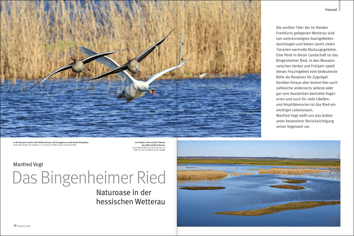 NaturFoto 6/2021 - Bild 4