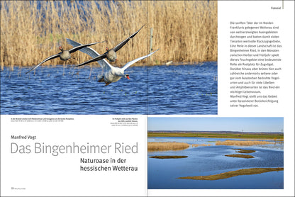 NaturFoto 6/2021 - Bild 4