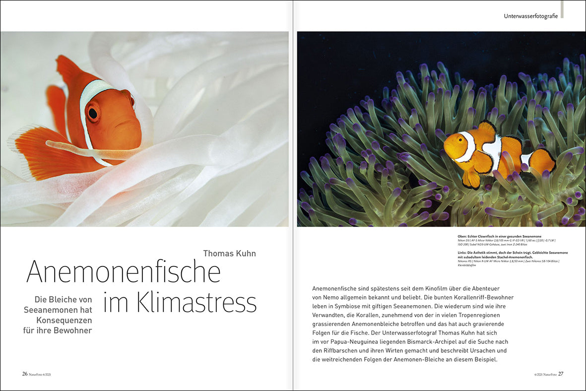 NaturFoto 6/2021 - Bild 5