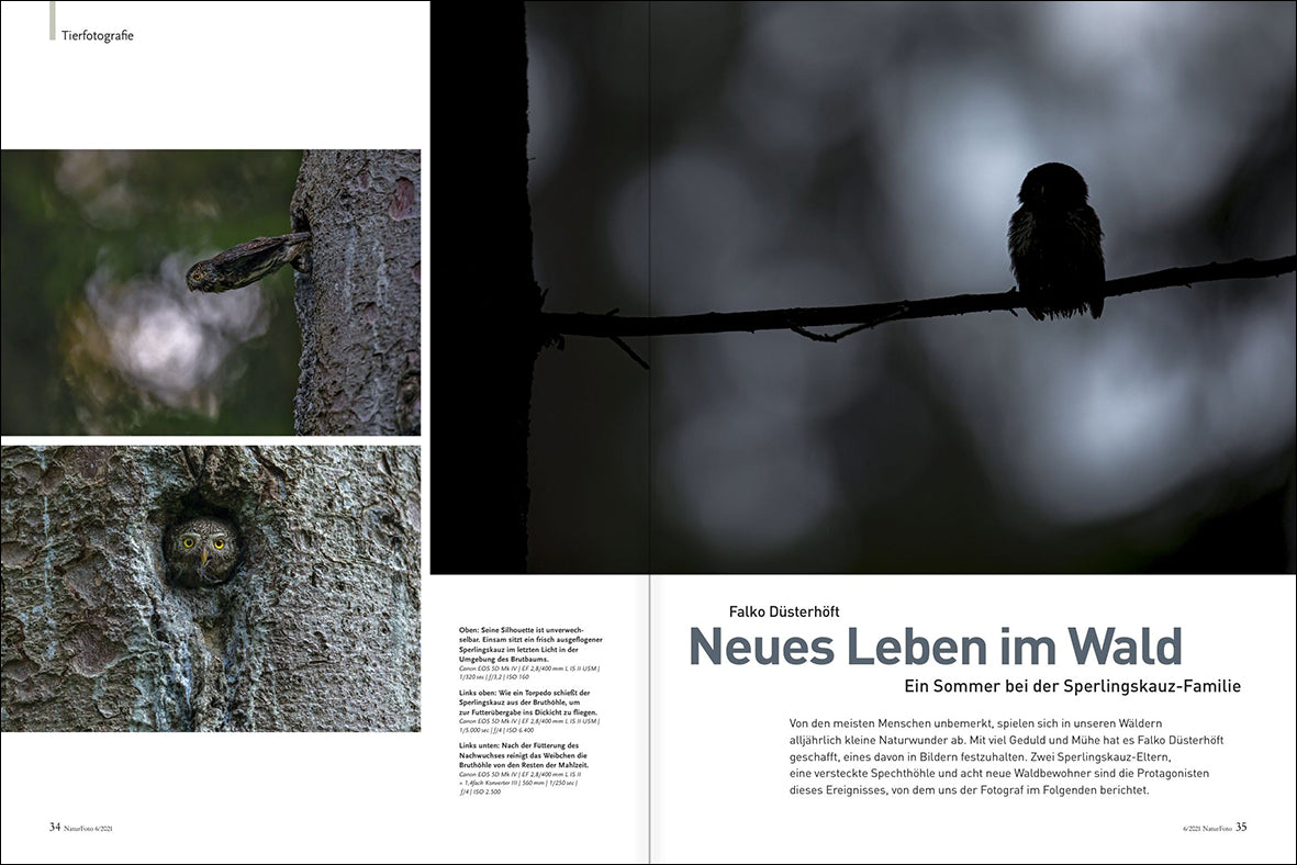 NaturFoto 6/2021 - Bild 7
