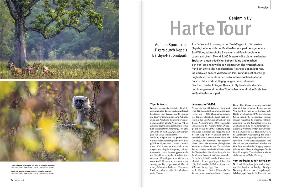 NaturFoto 6/2021 - Bild 6