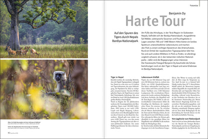 NaturFoto 6/2021 - Bild 6