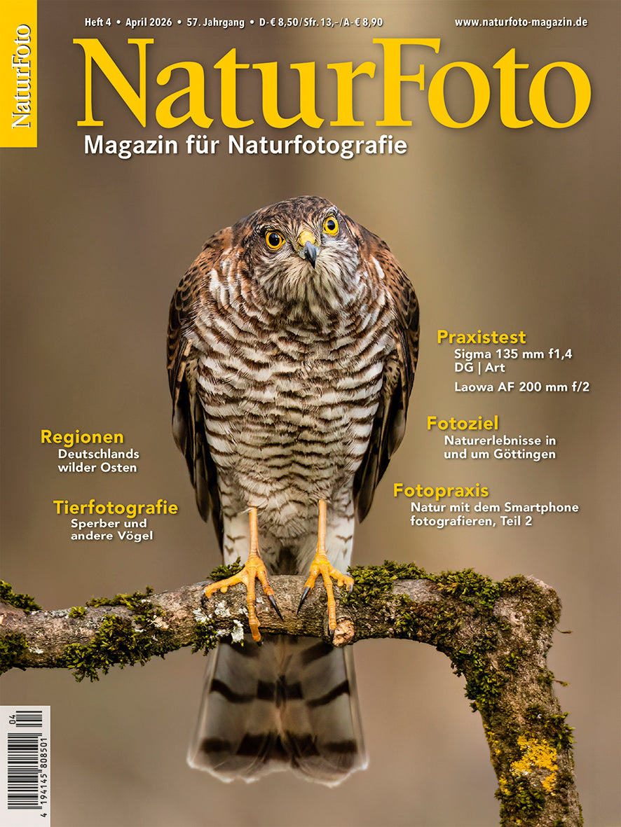 NaturFoto 4/2026
