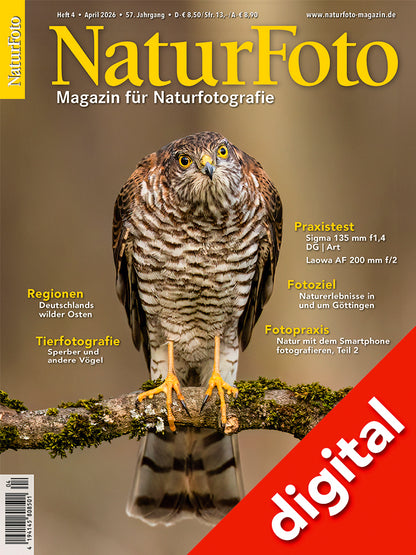 NaturFoto 4/2026