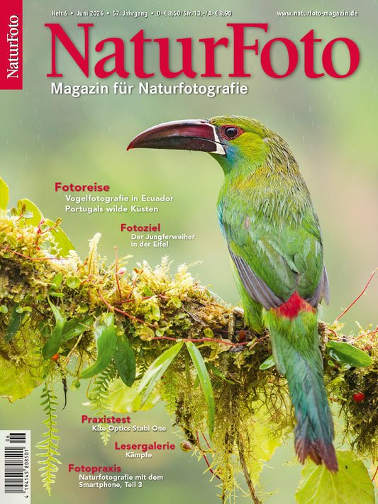 NaturFoto 6/2026
