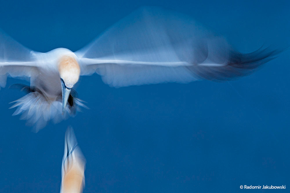 NaturFoto 2/2020 - Bild 8