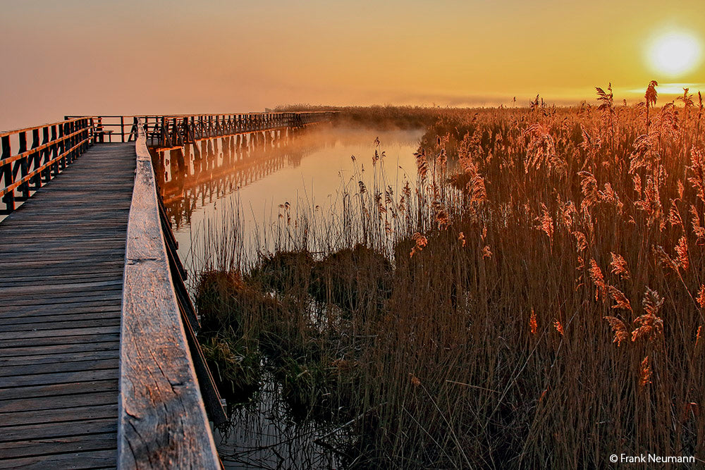 NaturFoto 2/2020 - Bild 2