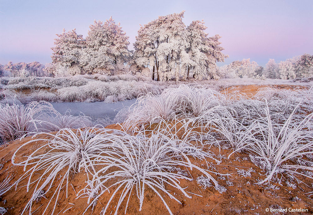 NaturFoto 2/2020 - Bild 9
