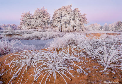 NaturFoto 2/2020 - Bild 9