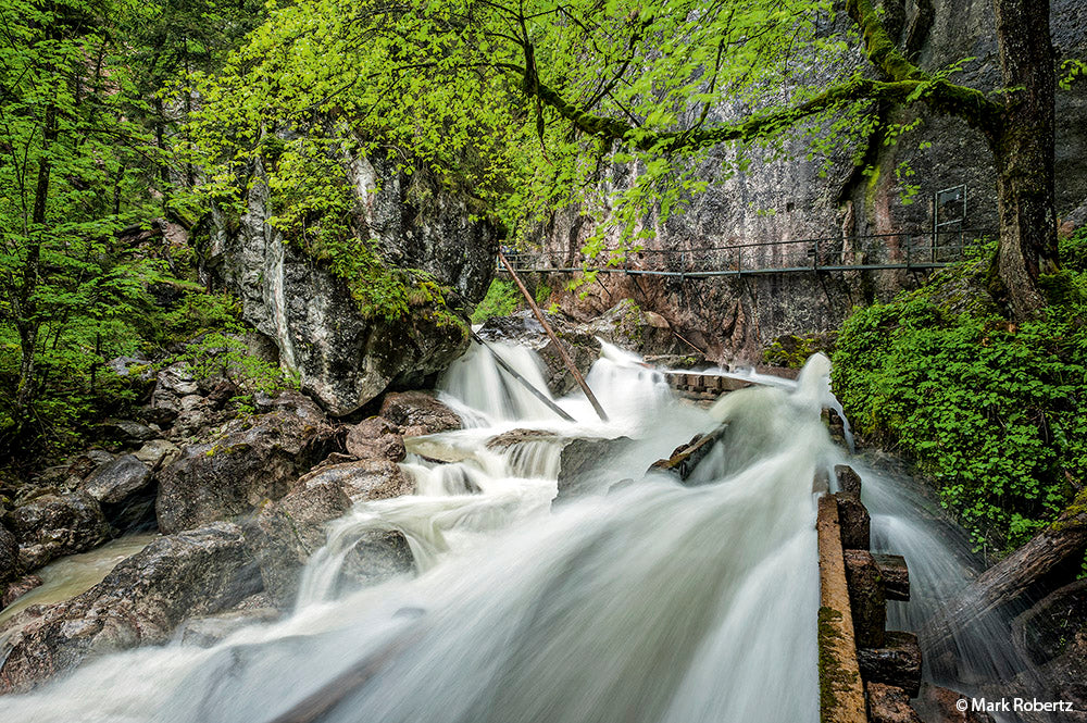 NaturFoto 2/2020 - Bild 5
