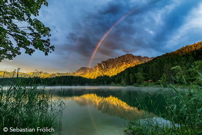 NaturFoto 4/2020 - Bild 3