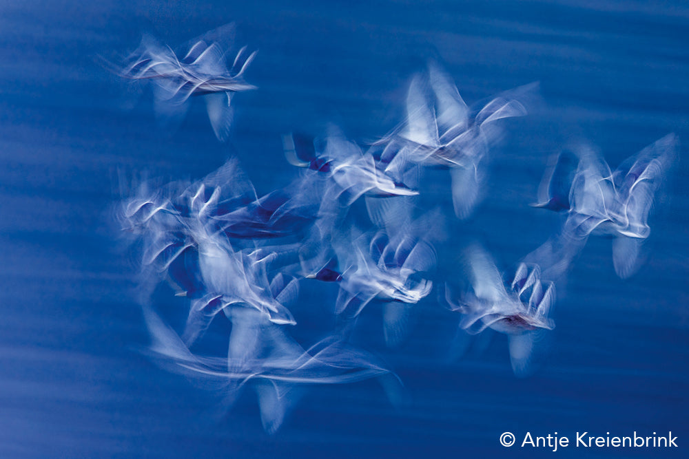 NaturFoto 4/2020 - Bild 7
