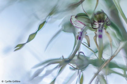 NaturFoto 5/2020 - Bild 3