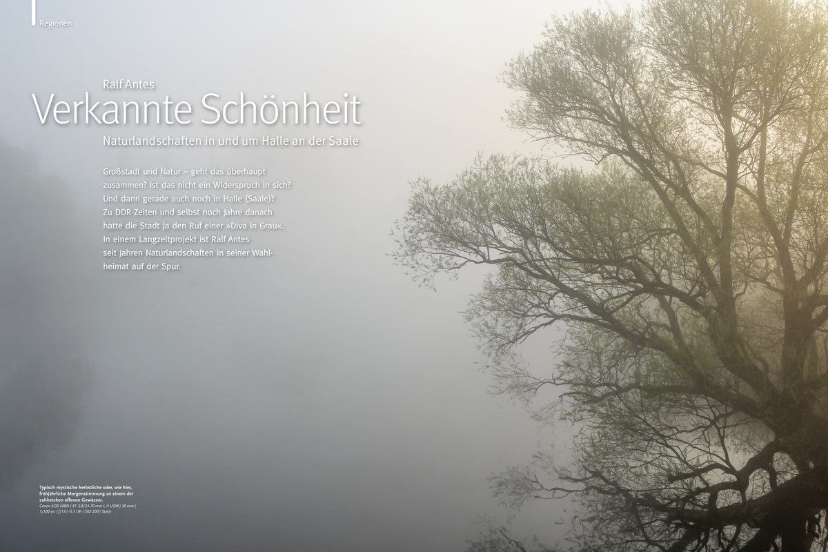 NaturFoto 9/2020 - Bild 4