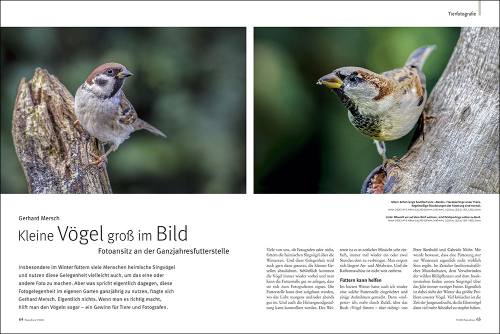 NaturFoto 9/2020 - Bild 5