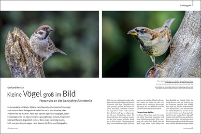 NaturFoto 9/2020 - Bild 5