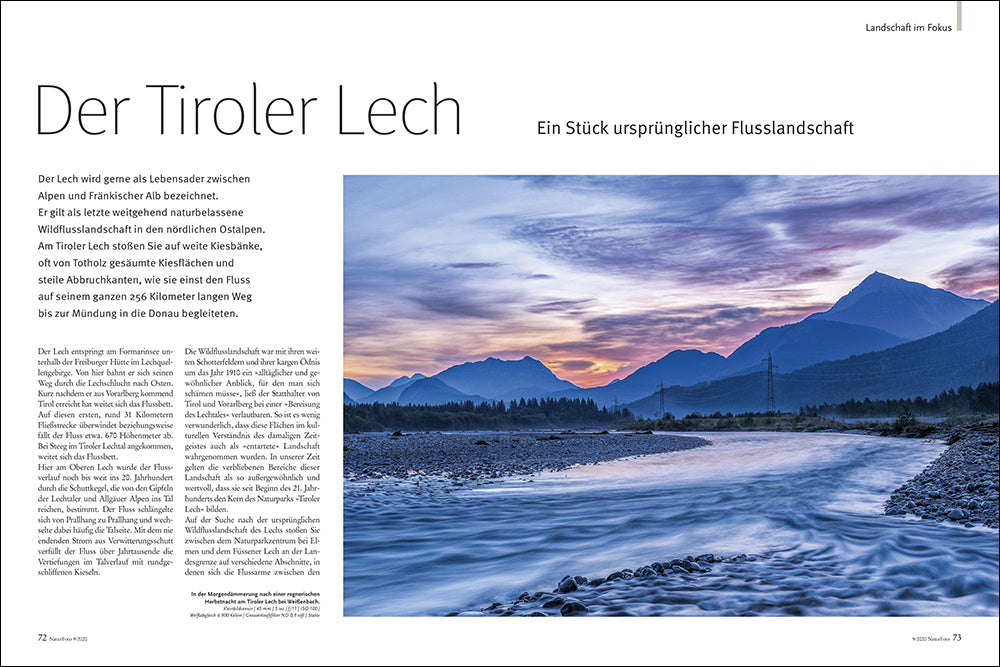 NaturFoto 9/2020 - Bild 7