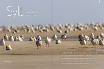NaturFoto 4/2021 - Bild 2